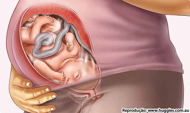 39 Semanas De Gestacao Almanaque Dos Pais