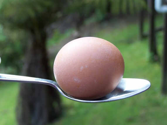 Corrida do ovo e da colher: como torná-la ainda mais divertida - AhaSlides